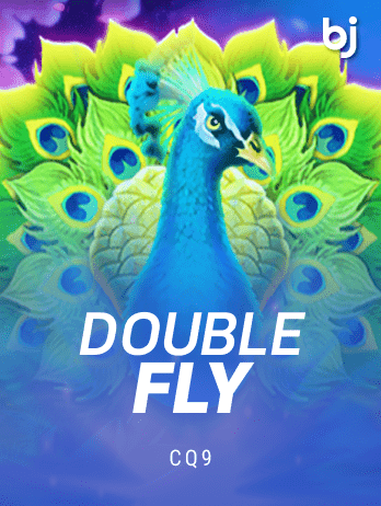 Double Fly